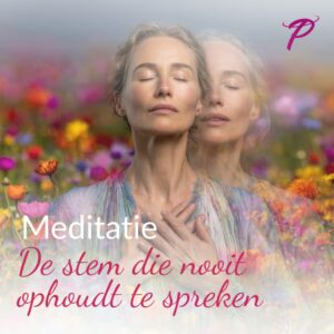 Meditatie -- Intuïtie: De stem die nooit ophoudt te spreken